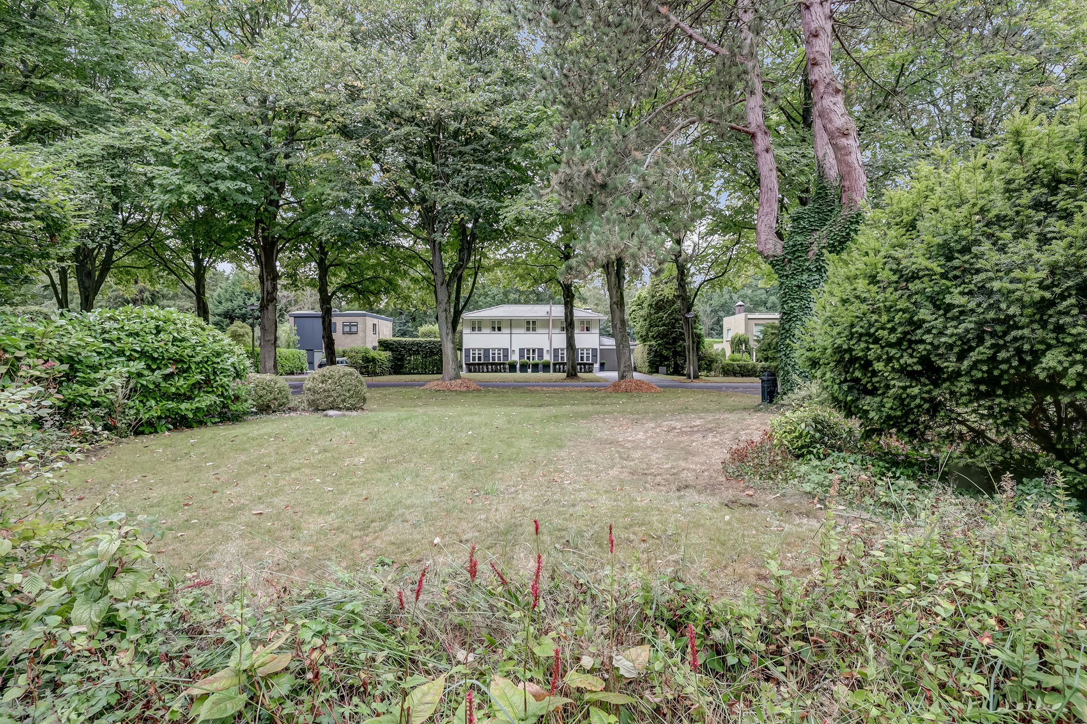 Photo 54 of Chloralaan 4