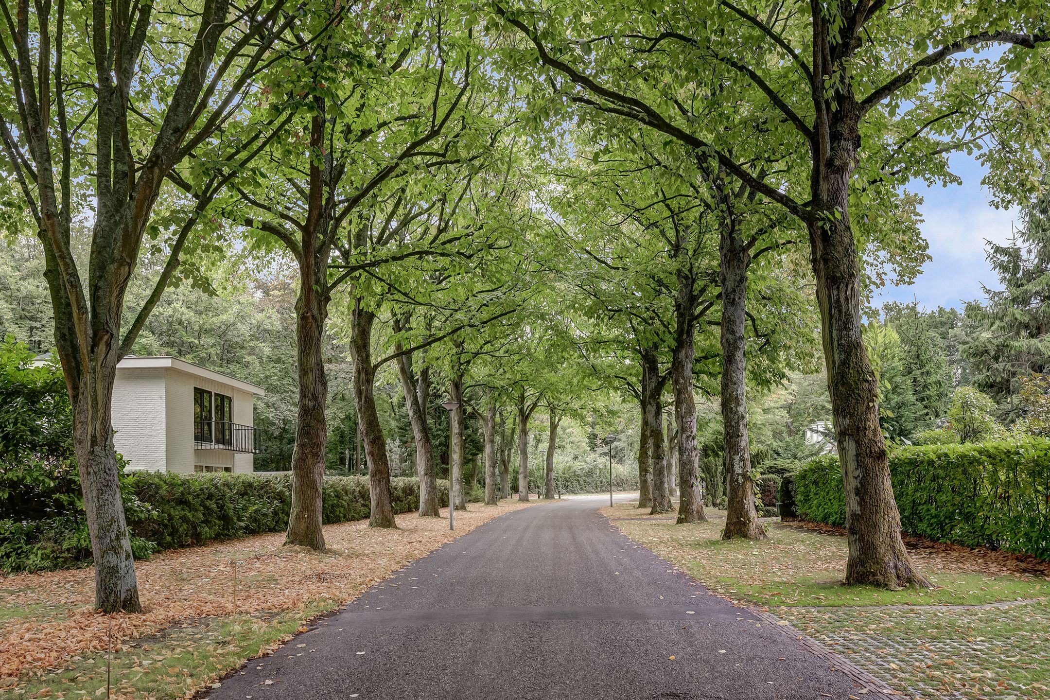 Photo 57 of Chloralaan 4