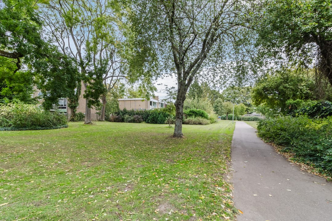 Foto 31 van Burgemeester Hazenberglaan 281