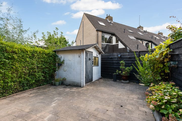 Foto 21 van Meidoorn 19