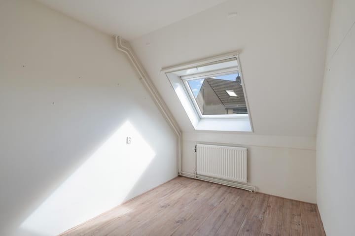 Foto 29 van Meidoorn 19