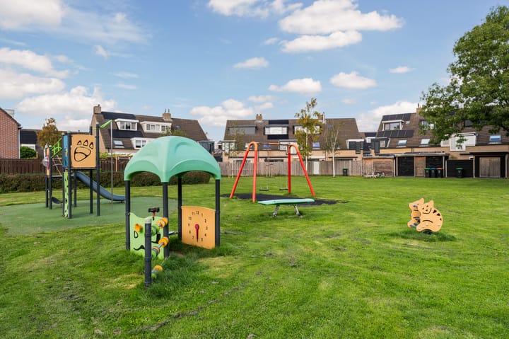 Foto 41 van Meidoorn 19