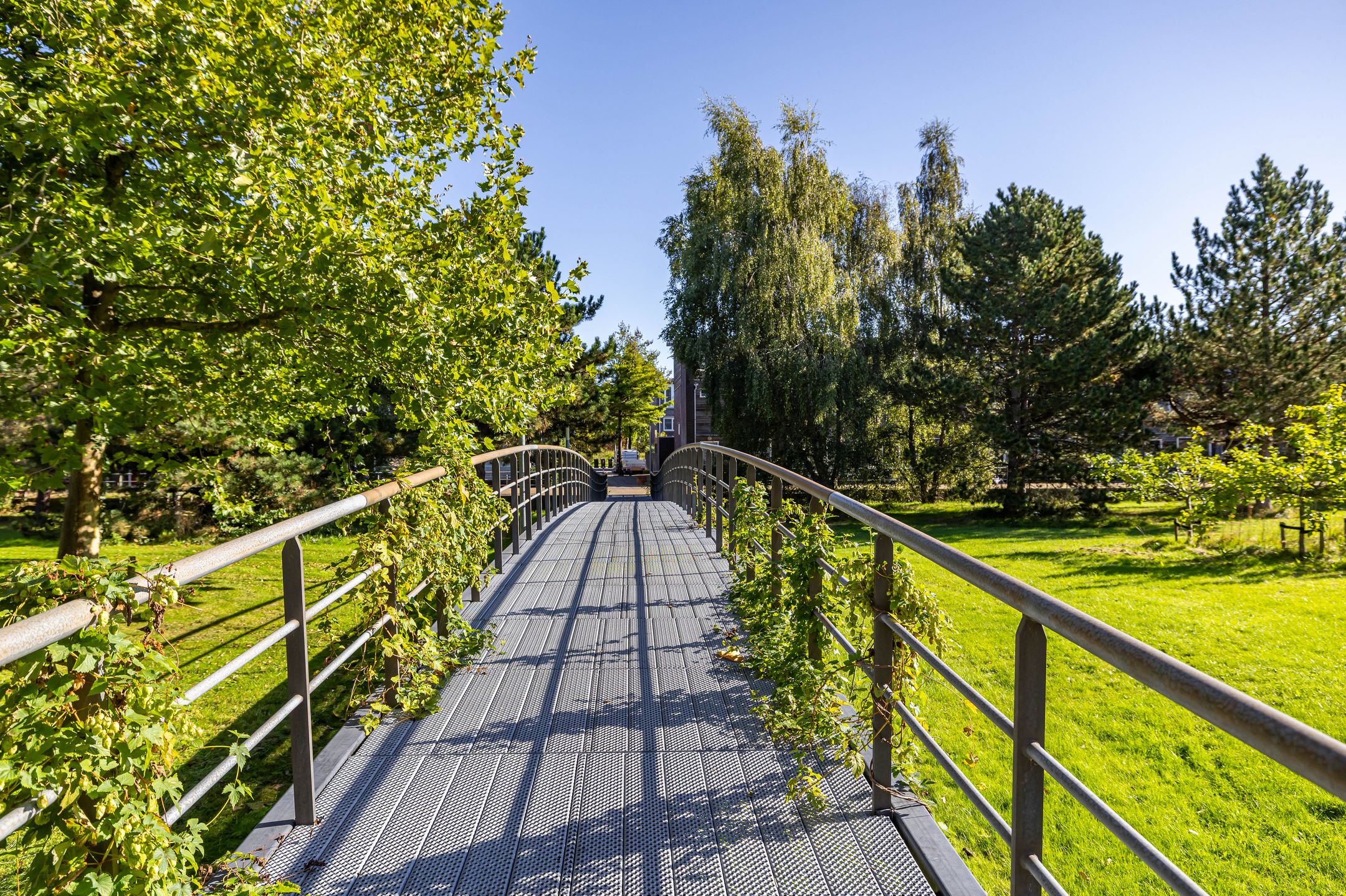 Foto 42 van Barkmolenstraat 187