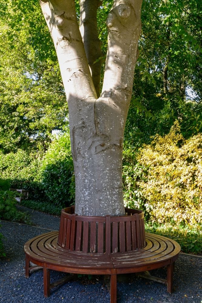 Foto 55 van Noorderdwarsvaart 113-A