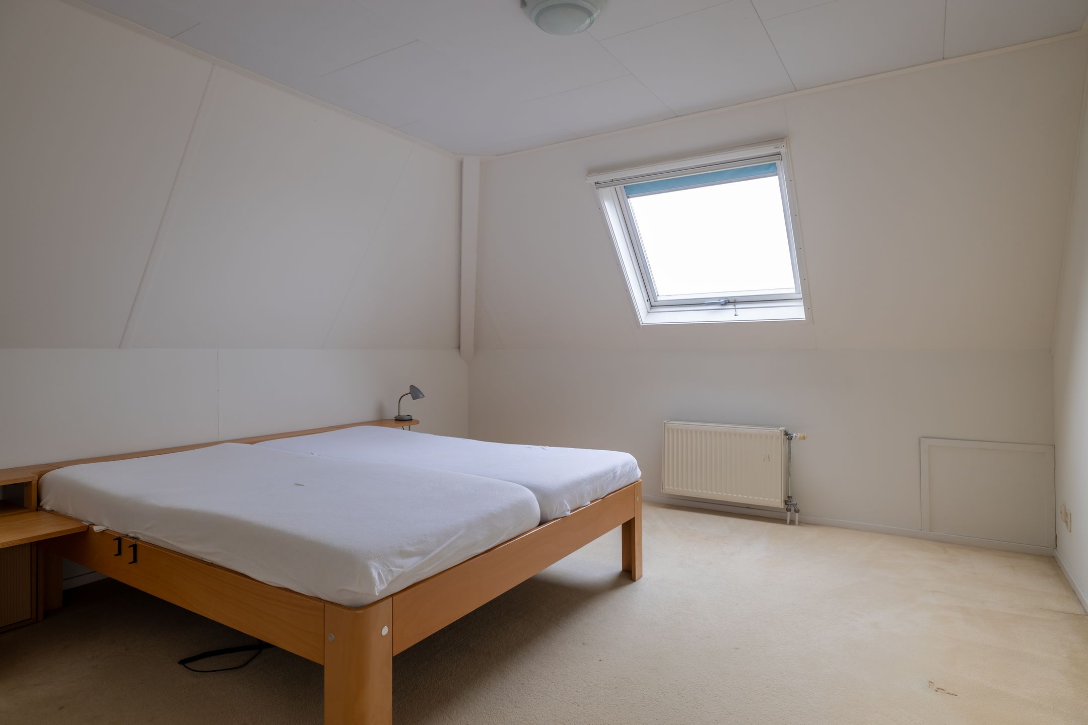 Foto 24 van Benjamin Steegengastrjitte 6