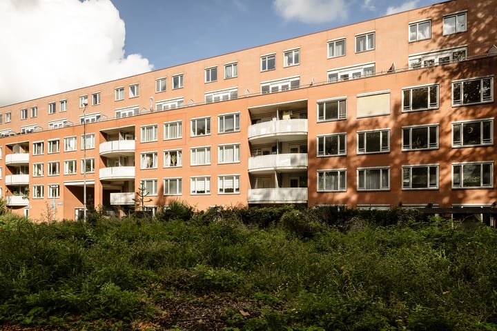 Suze Groenewegplantsoen 81