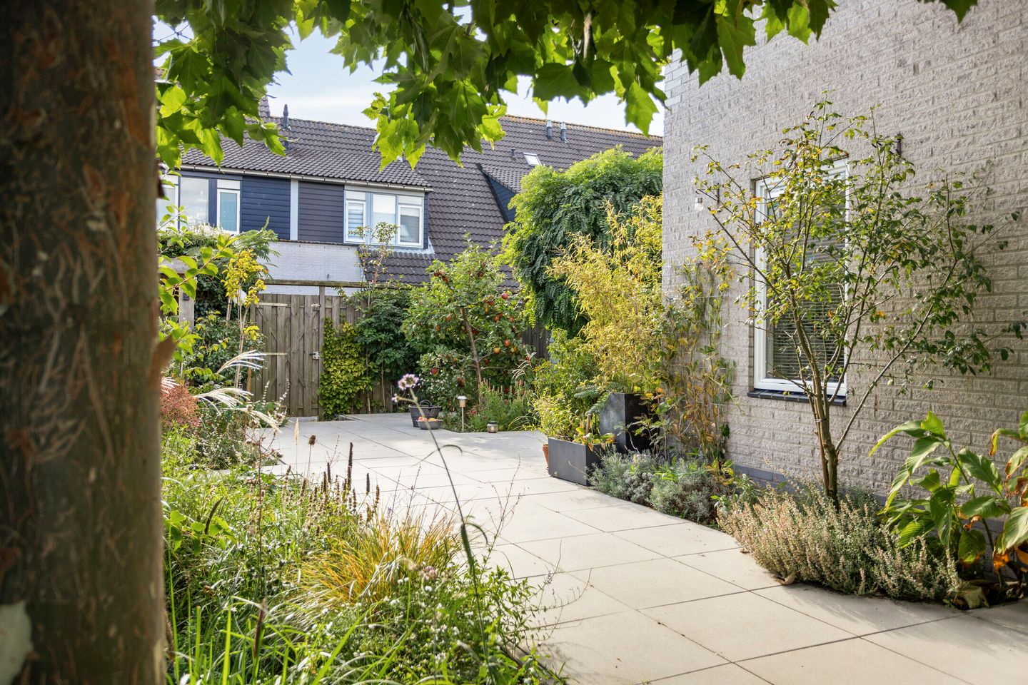 Foto 44 van Heintje Davidspad 17