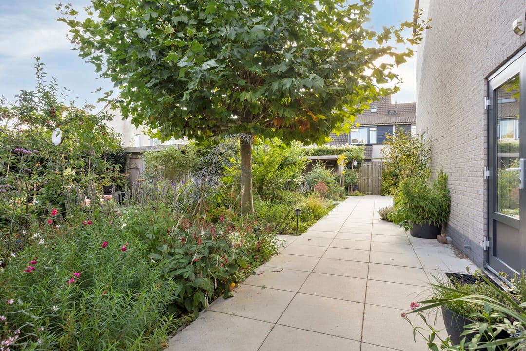 Foto 46 van Heintje Davidspad 17