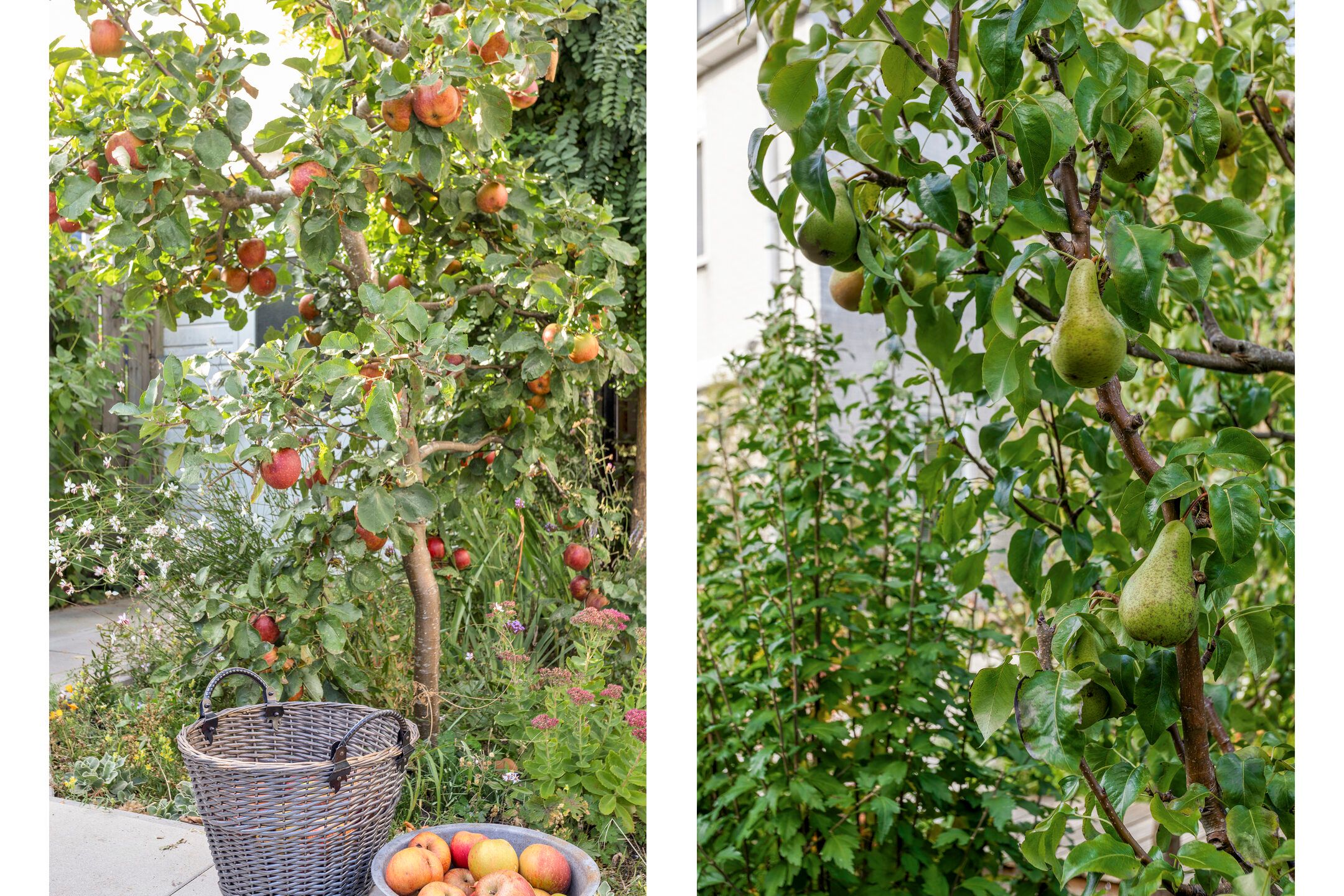 Foto 54 van Heintje Davidspad 17