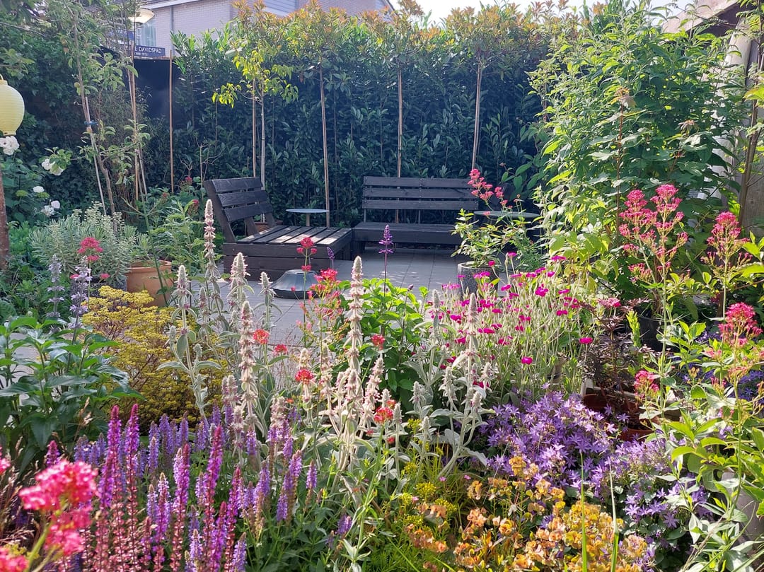 Foto 56 van Heintje Davidspad 17