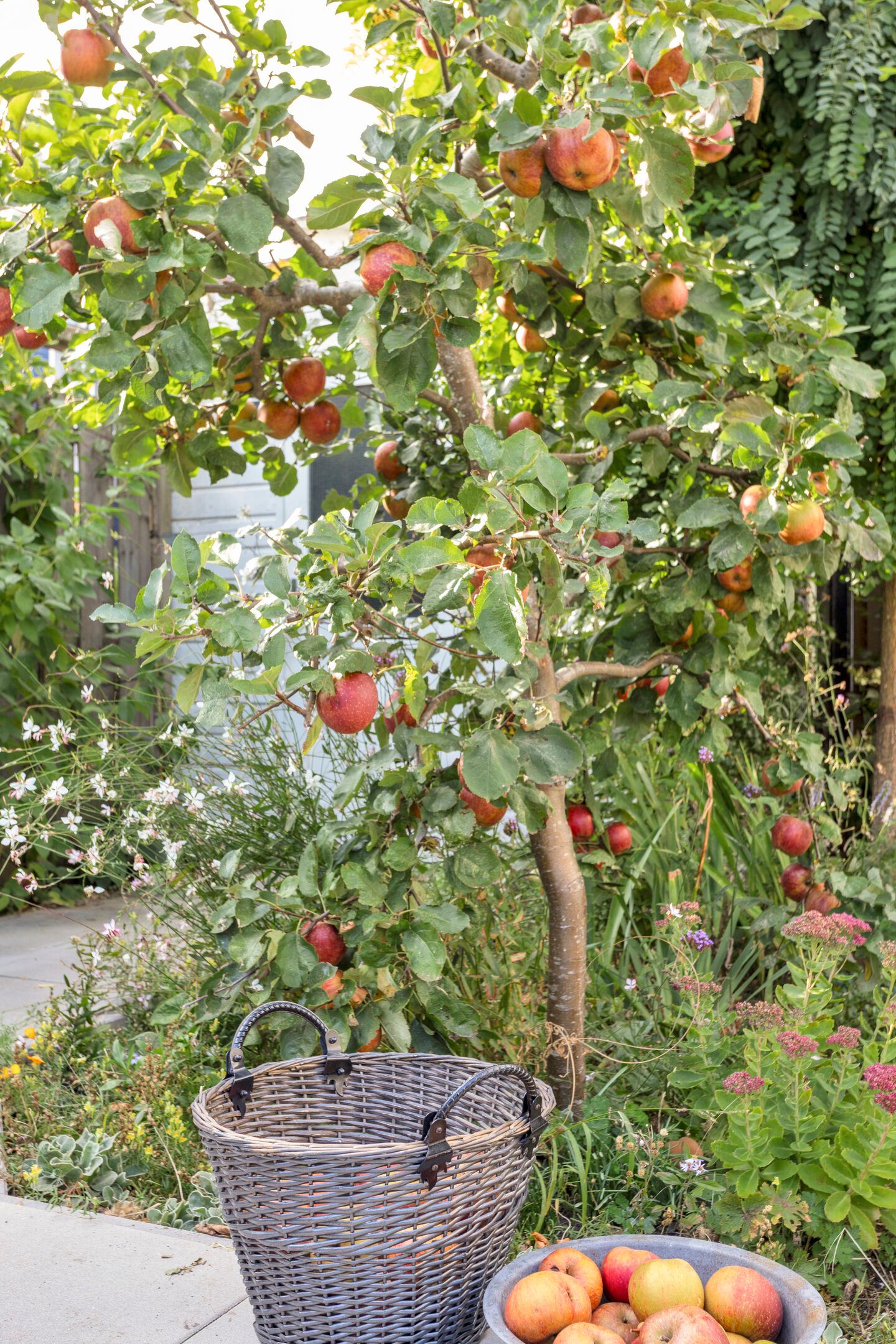 Foto 59 van Heintje Davidspad 17