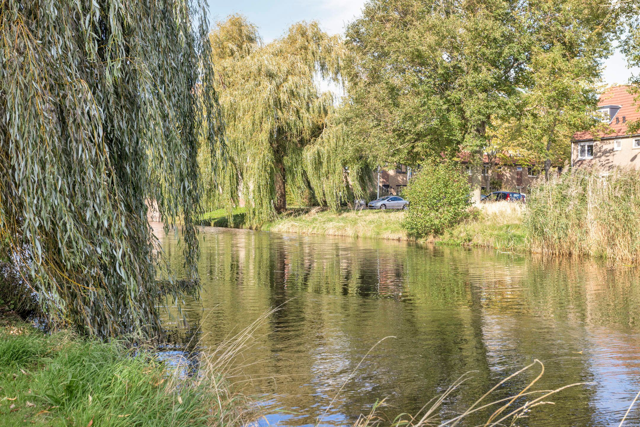 Foto 63 van Heintje Davidspad 17