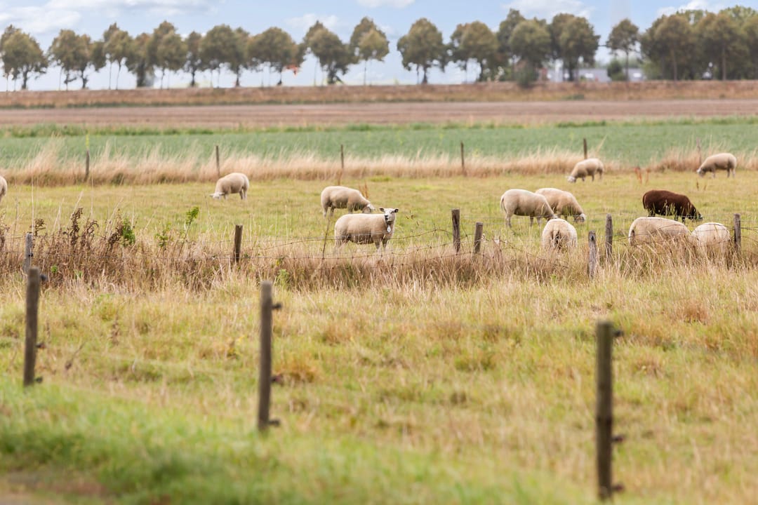 Foto 37 van Oranjestraat 12