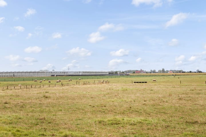 Foto 38 van Oranjestraat 12