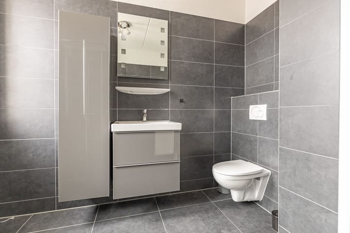 Photo 19 of de Nieuwe Zoek 17