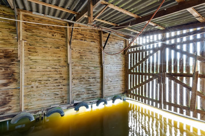 Foto 44 van It Noard 79