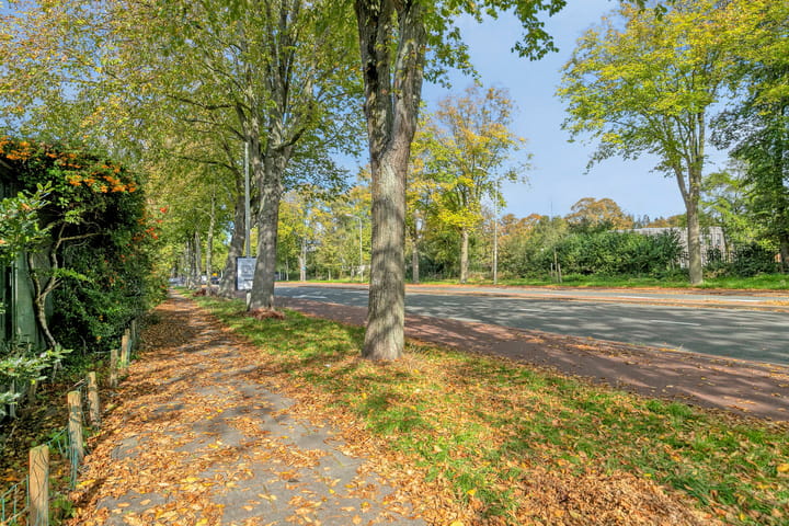 Foto 25 van Stadstuinen 10