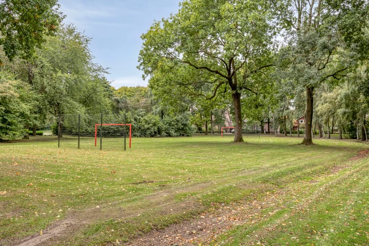 Photo 20 of Jeneverbes 16