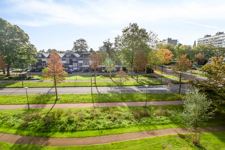 Foto 6 van Haverweerd 56