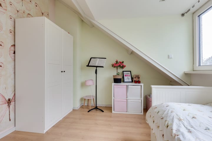 Photo 37 of Buizerdstraat 36