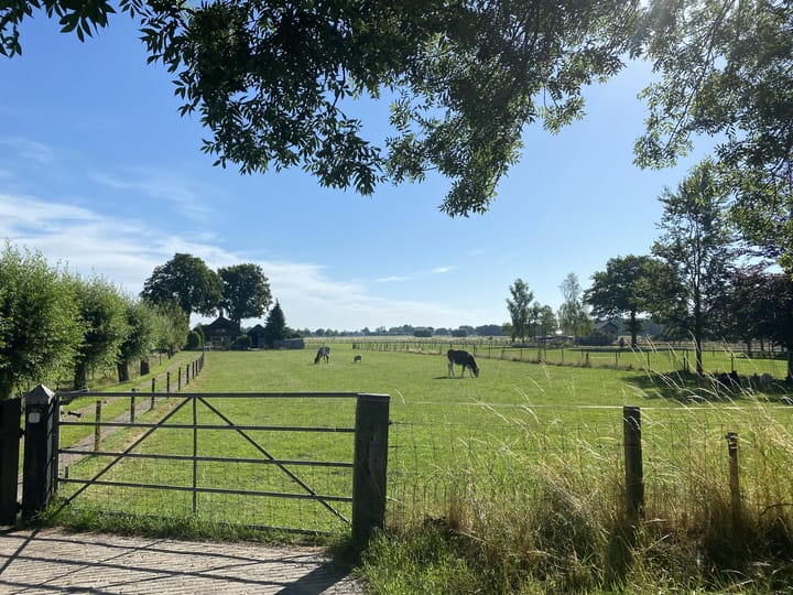 Foto 29 van Haverweerd 56