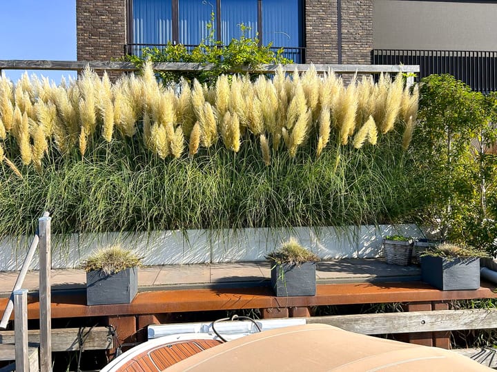 Foto 58 van Kokkelhof 34