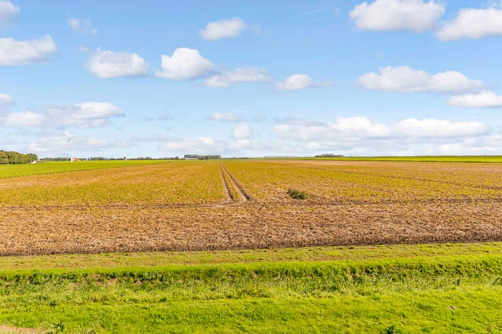 Foto 66 van Kokkelhof 34