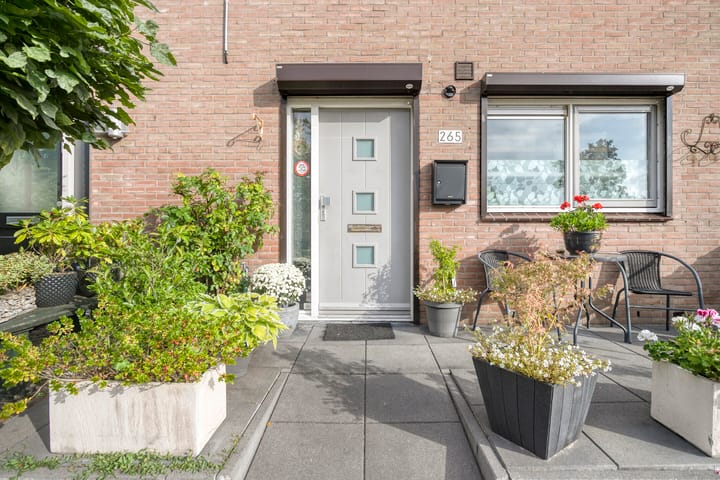 Foto 4 van Loevesteinsingel 265