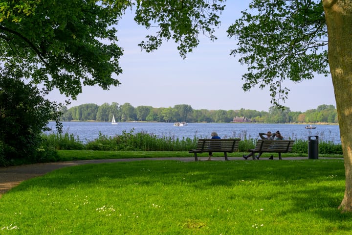 Photo 37 of Kralingseweg 11-D