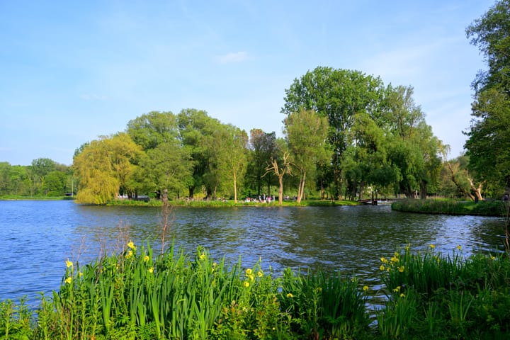 Photo 39 of Kralingseweg 11-D