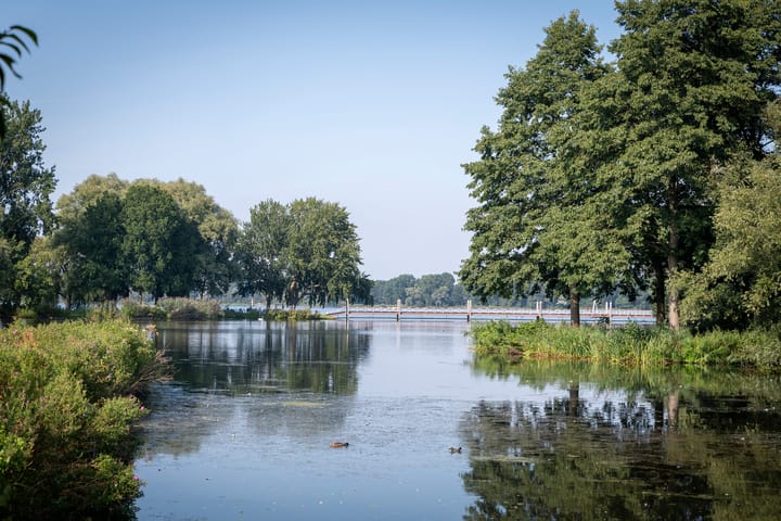 Photo 41 of Kralingseweg 11-D