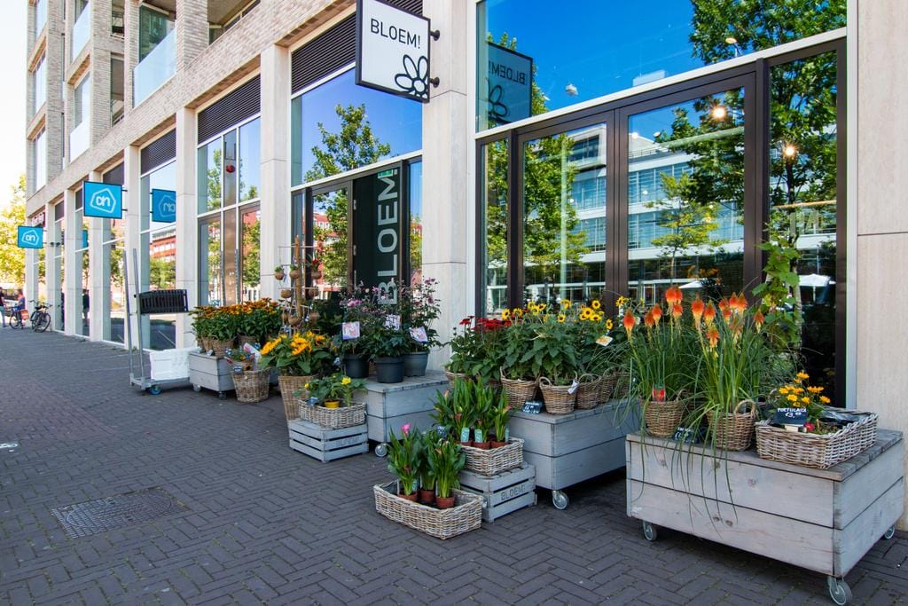 Foto 38 van Jasonstraat 42-2