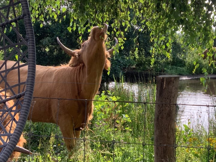 Foto 40 van Mostheuvelstraat 45