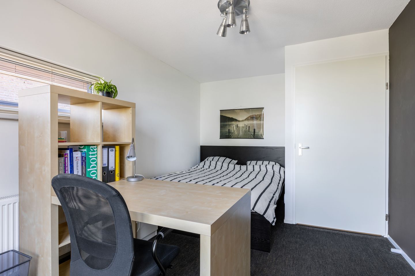 Foto 40 van Dr. F.W. Klaarenbeeksingel 83