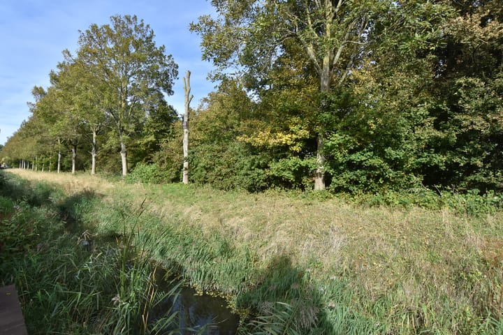 Foto 25 van Lange Dreef 134