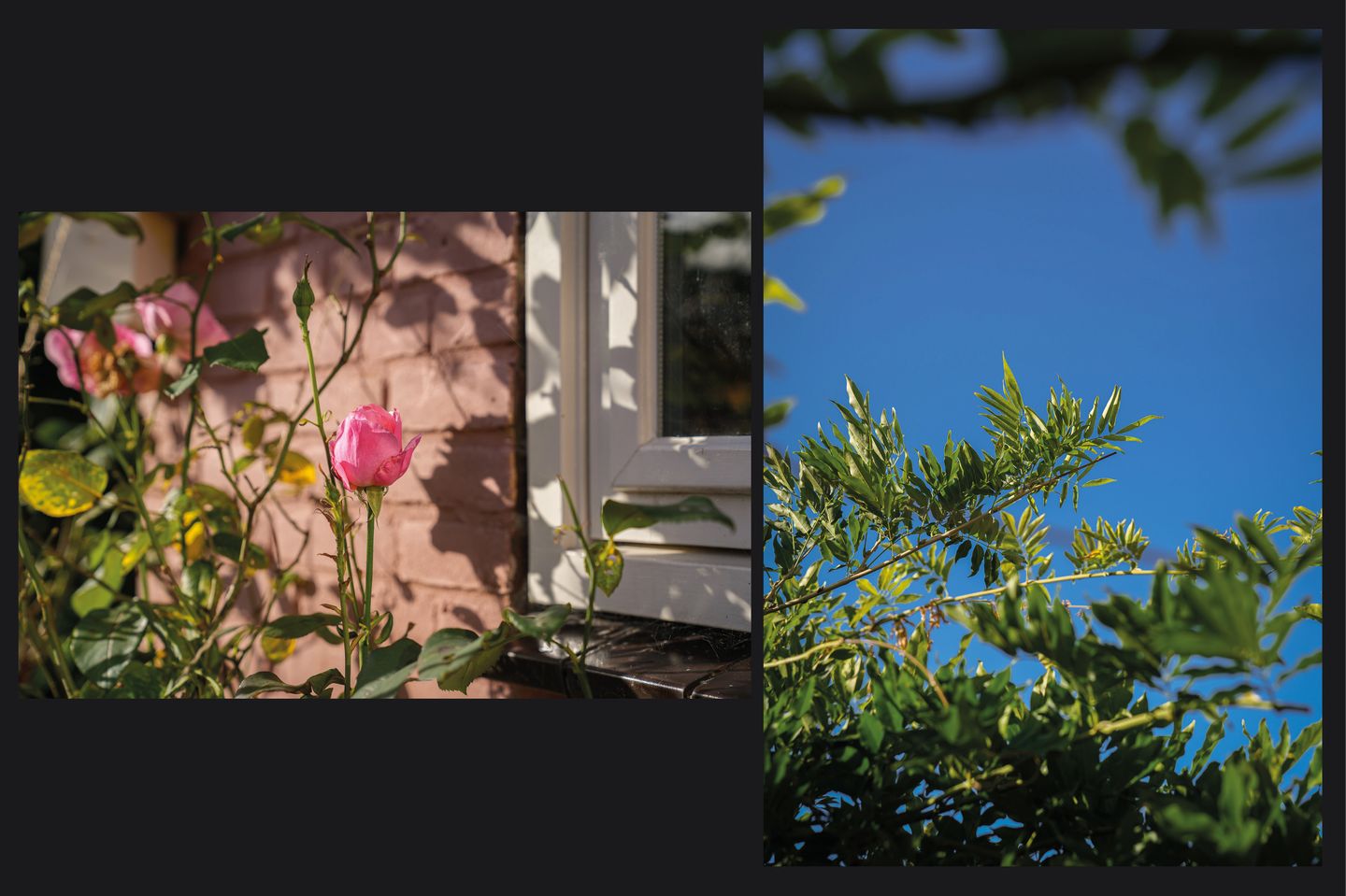 Foto 25 van Burg. van Goelst Meijerweg 7