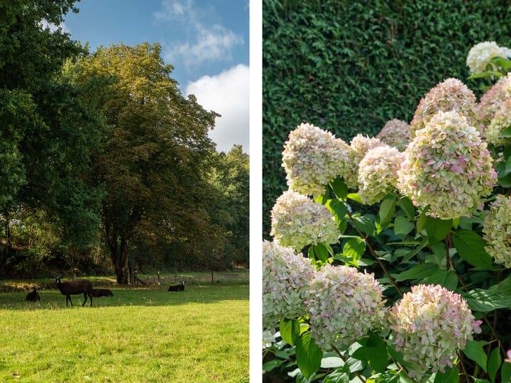 Foto 31 van Vemderdwarsweg 3