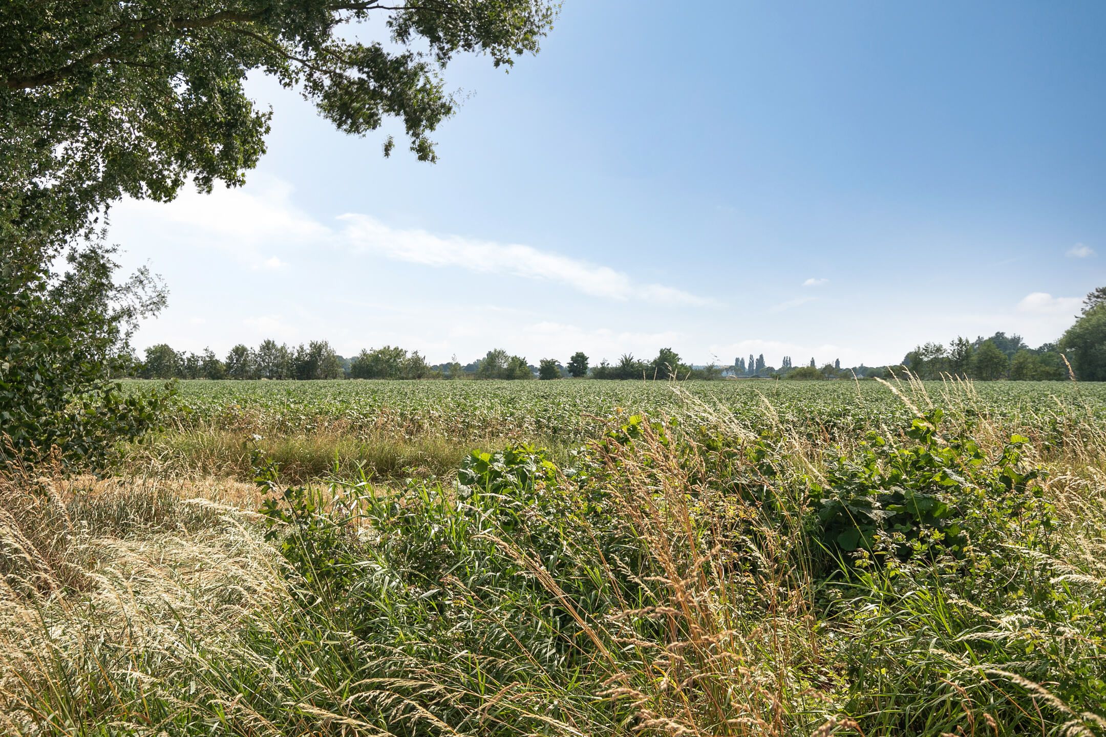 Foto 33 van Schubertstraat 10