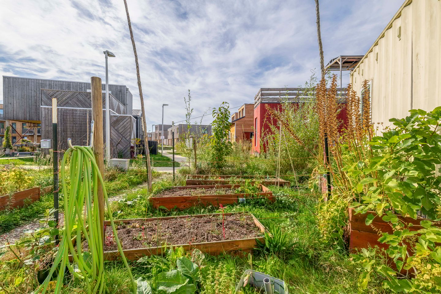 Foto 40 van Boslust 4