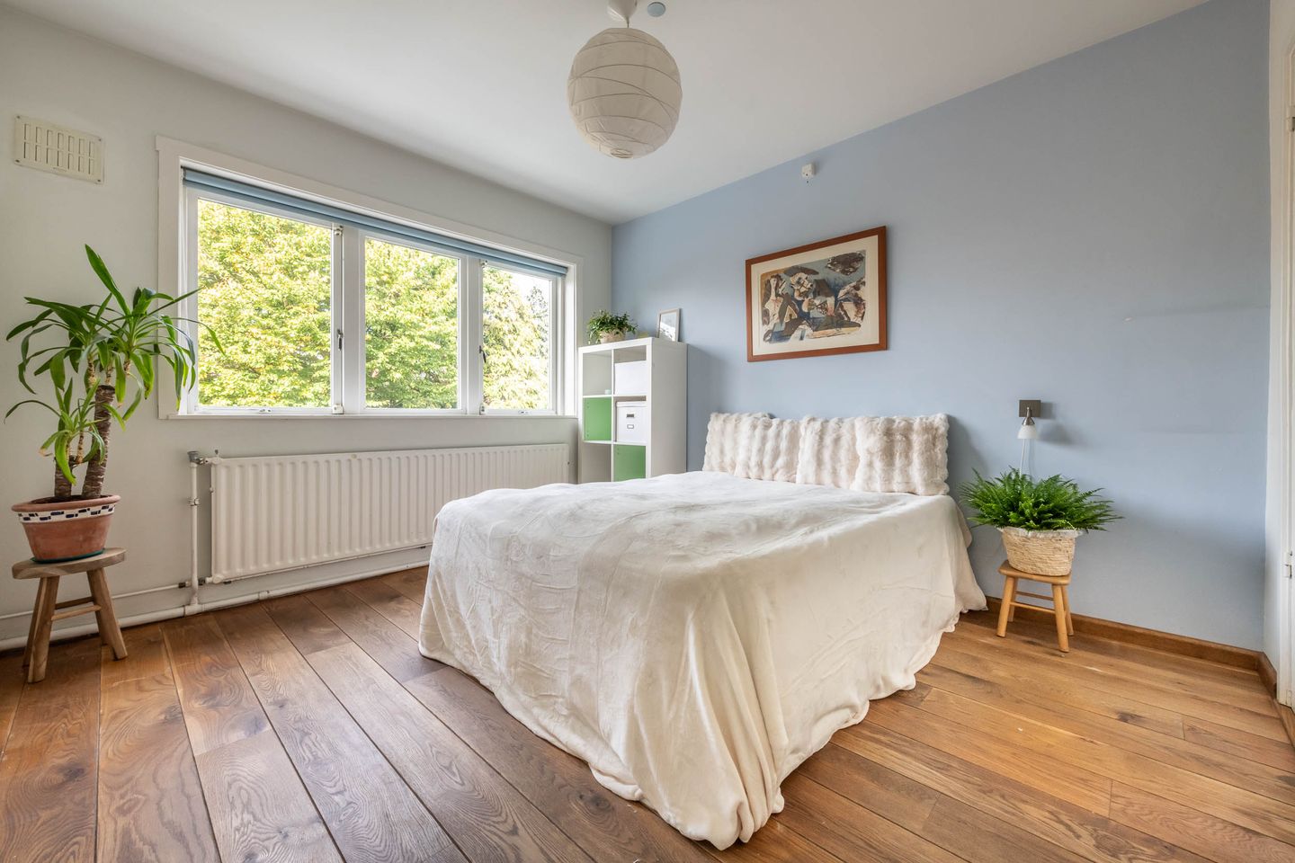 Photo 19 of Ramplaan 56