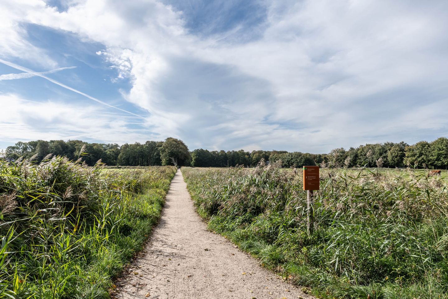 Photo 40 of Ramplaan 56