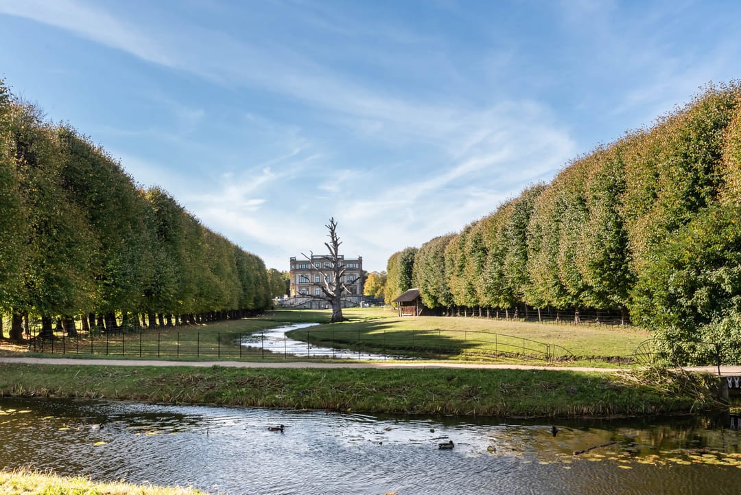 Photo 41 of Ramplaan 56