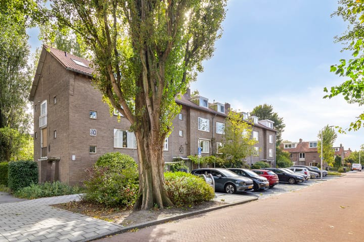 Foto 23 van Gerard Doulaan 80