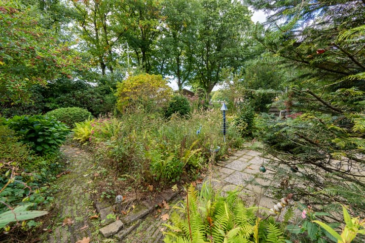 Foto 24 van Wolfsbergenweg 4