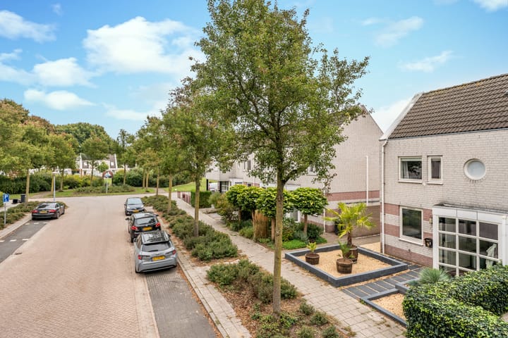 Foto 3 van Raampoort 7