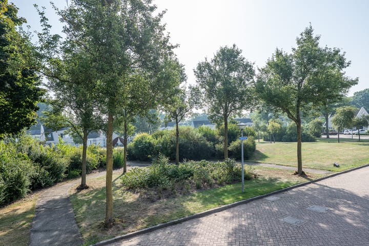 Foto 4 van Raampoort 7