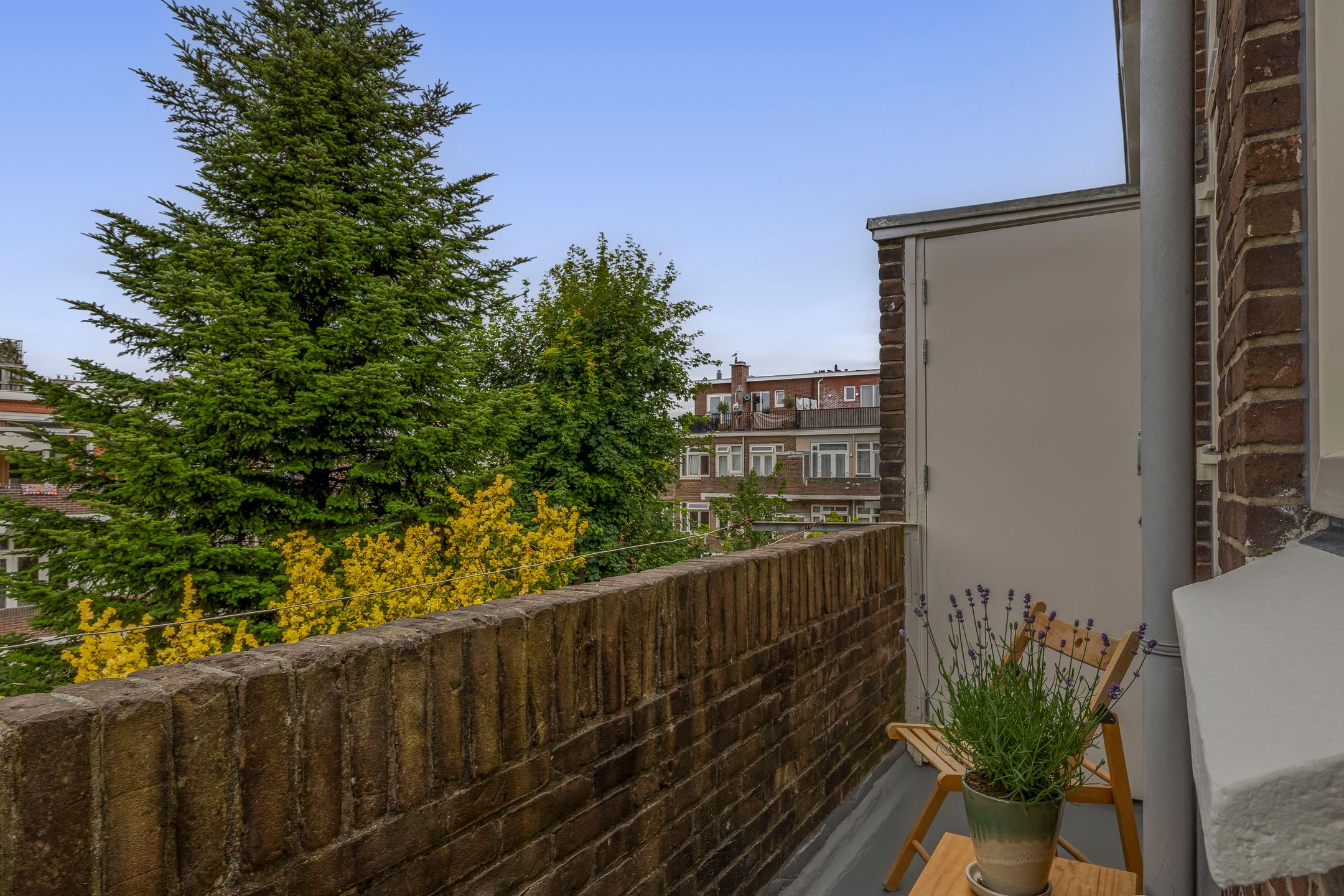 Foto 24 van Mient 577