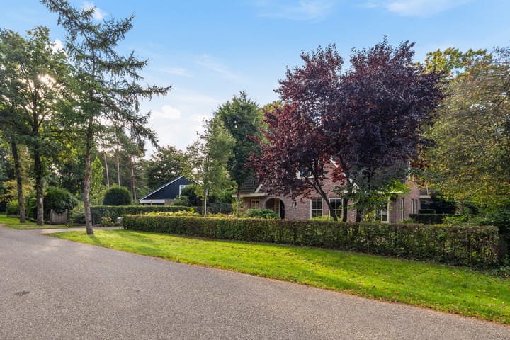 Photo 51 of Jacob Catslaan 85