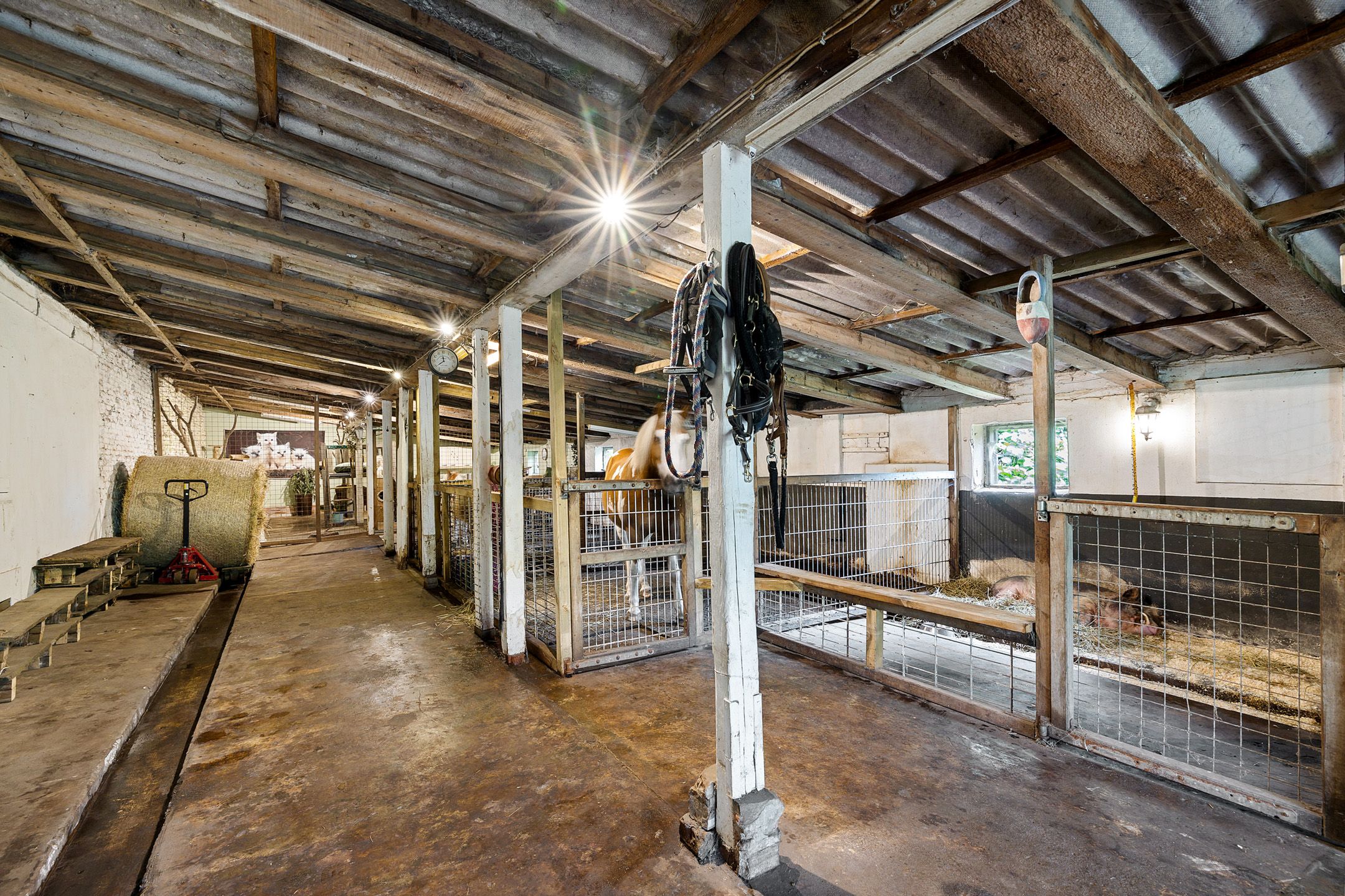 Foto 27 van Breiter Weg 74