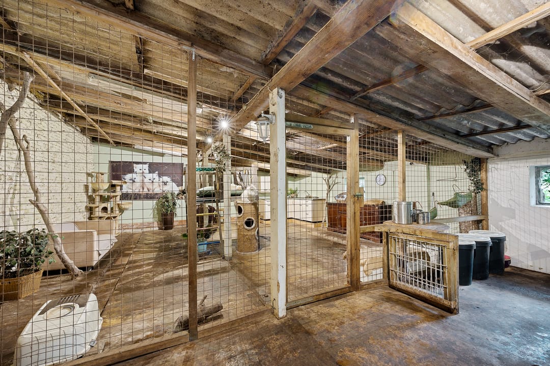 Foto 28 van Breiter Weg 74